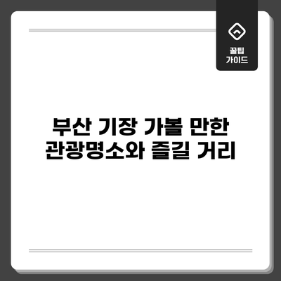 부산 기장: 가볼 만한 관광명소와 즐길 거리