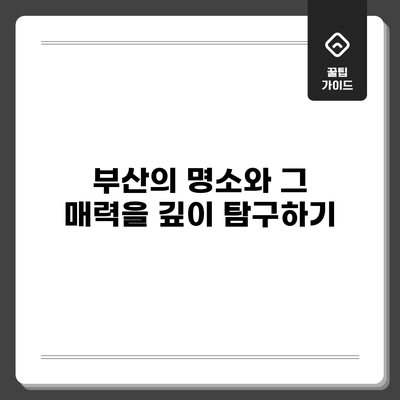 부산의 명소와 그 매력을 깊이 탐구하기